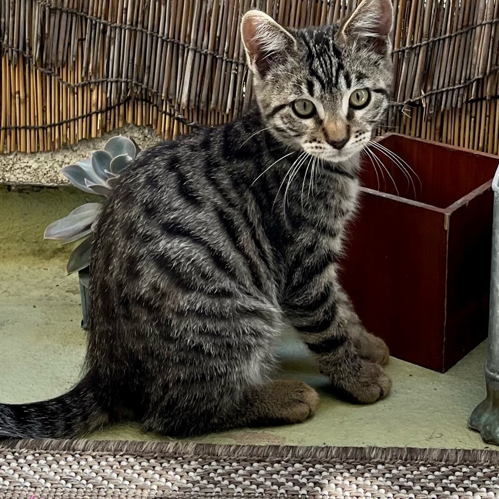 Meet your Posher, Cathie